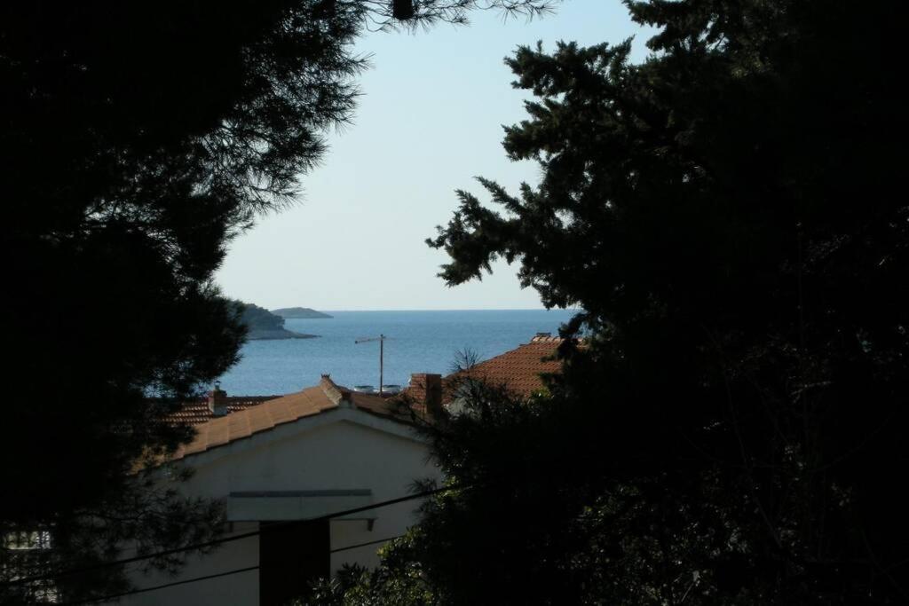 Whole Villa In Primošten Buitenkant foto